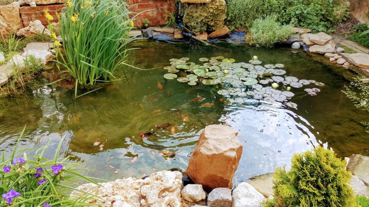 Villa Sanitas テキルギオル エクステリア 写真