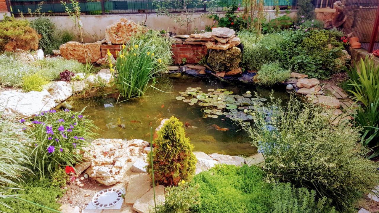 Villa Sanitas テキルギオル エクステリア 写真