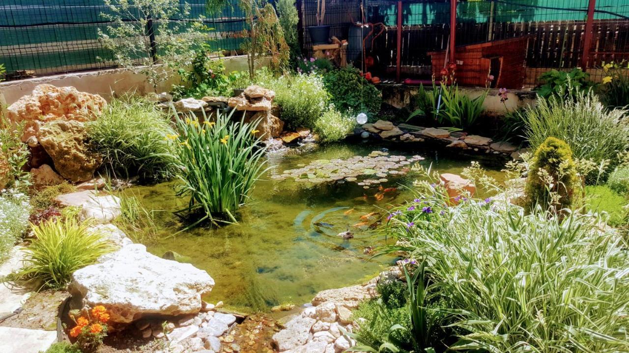Villa Sanitas テキルギオル エクステリア 写真