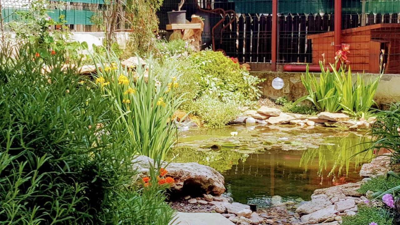 Villa Sanitas テキルギオル エクステリア 写真