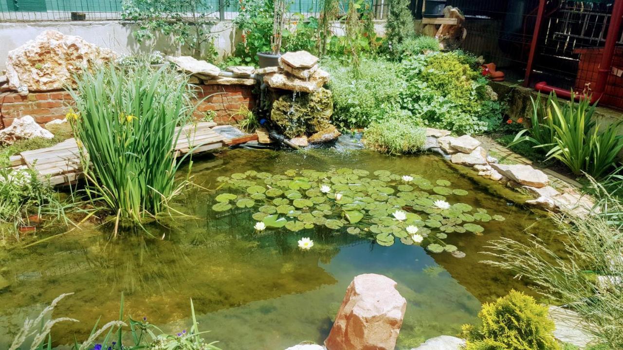 Villa Sanitas テキルギオル エクステリア 写真