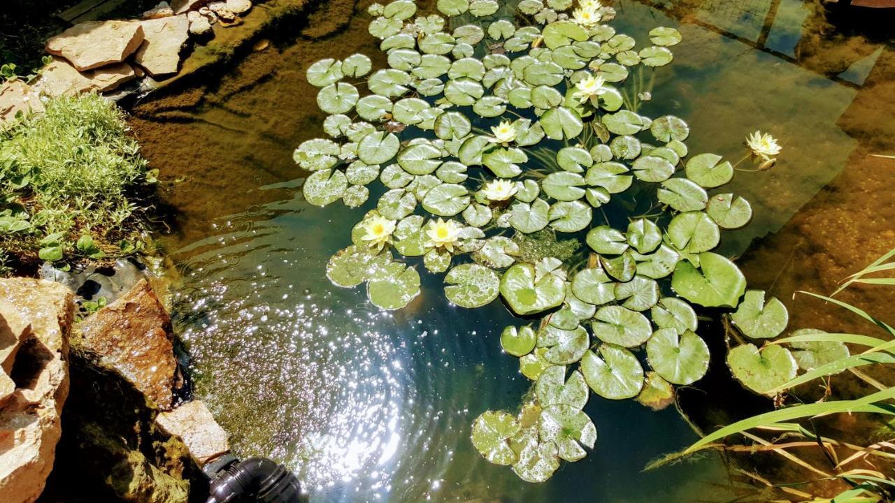 Villa Sanitas テキルギオル エクステリア 写真
