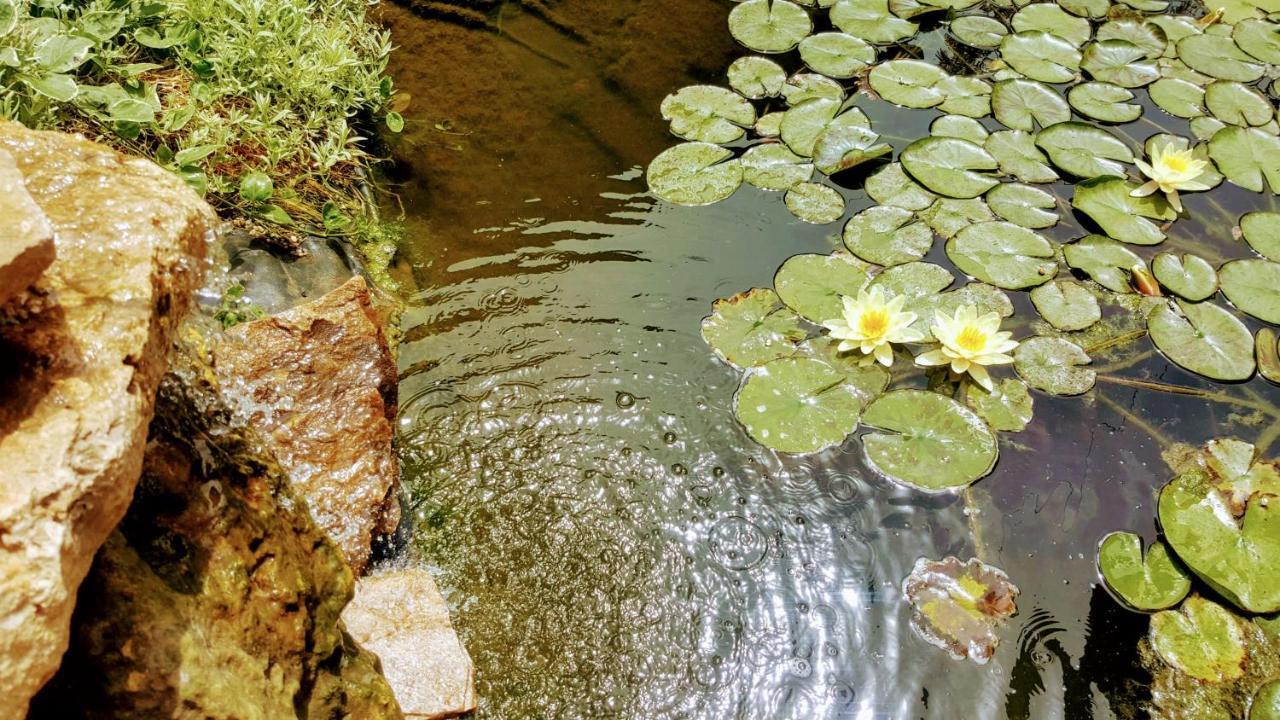 Villa Sanitas テキルギオル エクステリア 写真