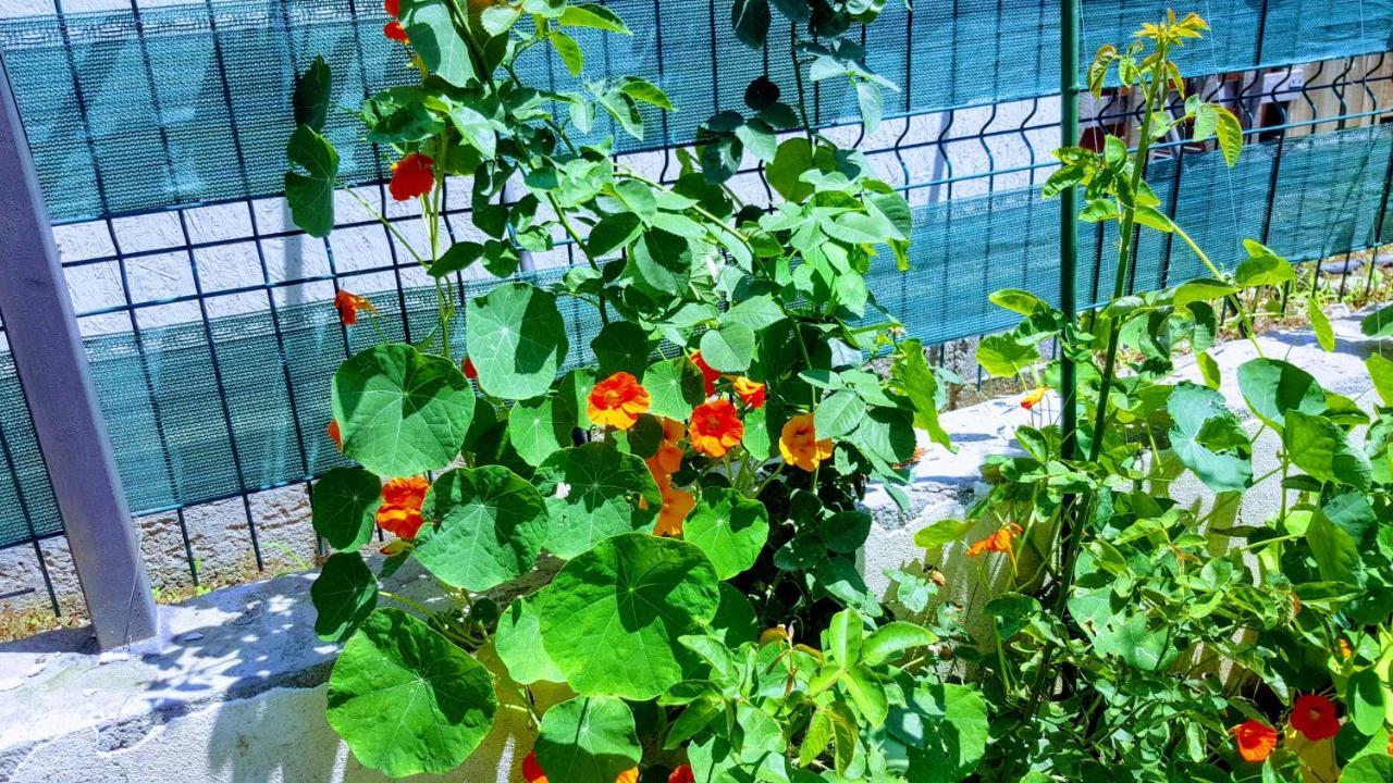 Villa Sanitas テキルギオル エクステリア 写真